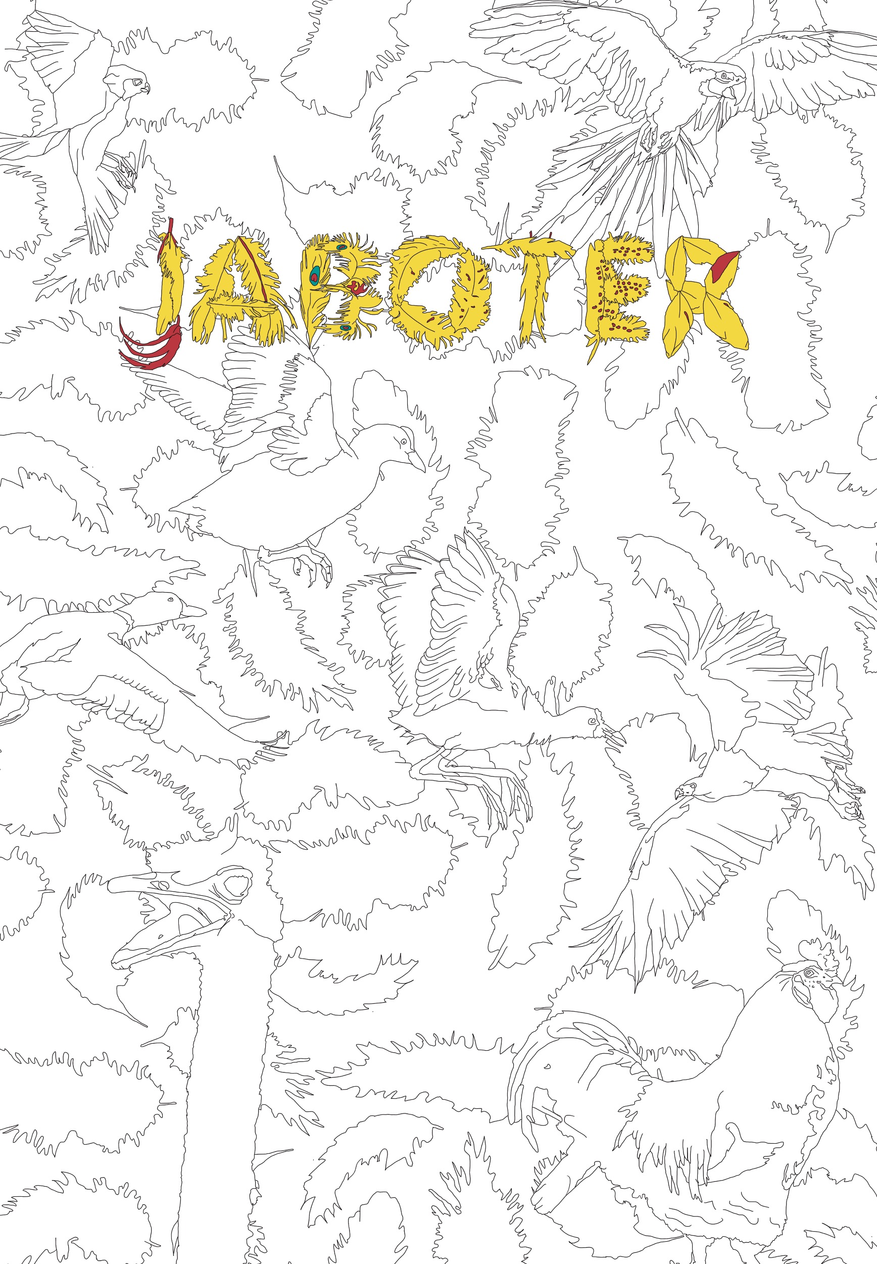 Jaboter